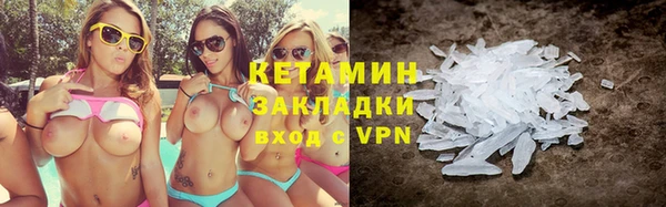 прущие грибы Белокуриха