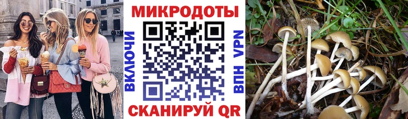 Псилоцибиновые грибы Cubensis Краснослободск